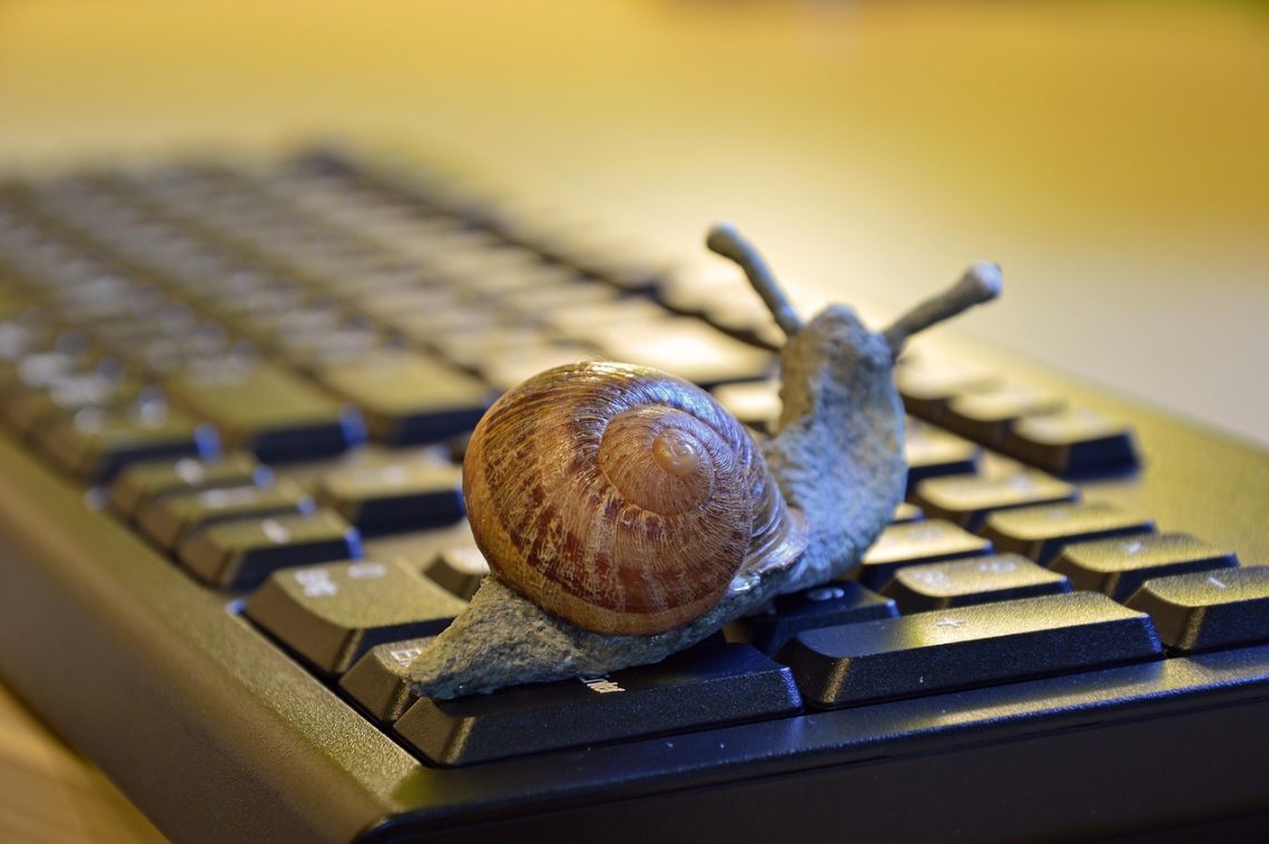 snail, shell, figure, keyboard, slow, deceleration, office, workplace, symbol, meaning, metaphor, fantasy, creativity, technology, snail, snail, snail, snail, snail, slow, metaphor