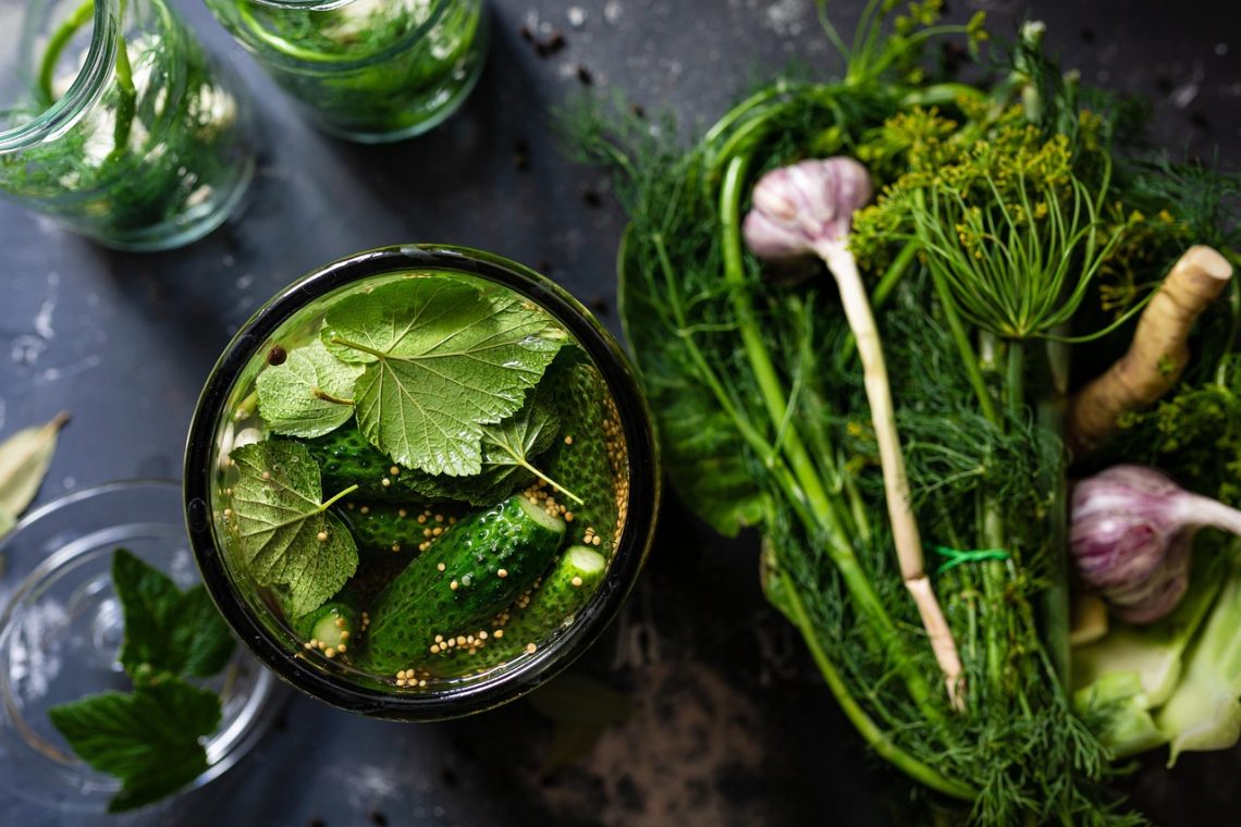 pickled, cucumbers, vegetable, leaves, water, jar, pickle, dill, garlic, organic, food, nature, preservation, healthy, nutrition
