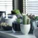 pots, plants, cactus, succulents, shelf, window, nature, gardening, potted, design, home, interior, decor, potted plants, indoor plants, plants, plants, plants, plants, plants, cactus, gardening, home, home, home, home, indoor plants