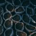 soil, pot plants, plantation, growth, nature, dirt, soil, soil, soil, soil, soil