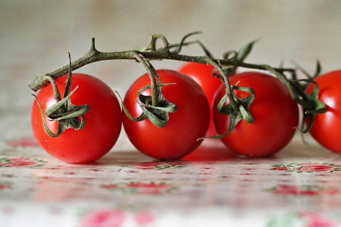tomatoes, 4k wallpaper 1920x1080, free wallpaper, vegetables, 4k wallpaper, windows wallpaper, desktop backgrounds, wallpaper hd, beautiful wallpaper, shrubbery, cook, nourishment, mac wallpaper, healthy, close up, meal, wallpaper 4k, cool backgrounds, hd wallpaper, food, laptop wallpaper, free background, full hd wallpaper, wallpaper