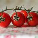 tomatoes, 4k wallpaper 1920x1080, free wallpaper, vegetables, 4k wallpaper, windows wallpaper, desktop backgrounds, wallpaper hd, beautiful wallpaper, shrubbery, cook, nourishment, mac wallpaper, healthy, close up, meal, wallpaper 4k, cool backgrounds, hd wallpaper, food, laptop wallpaper, free background, full hd wallpaper, wallpaper